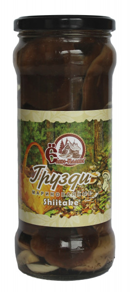 Shiitake Pilze