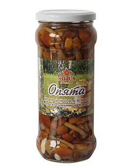 Stockschwämmchen Pilze